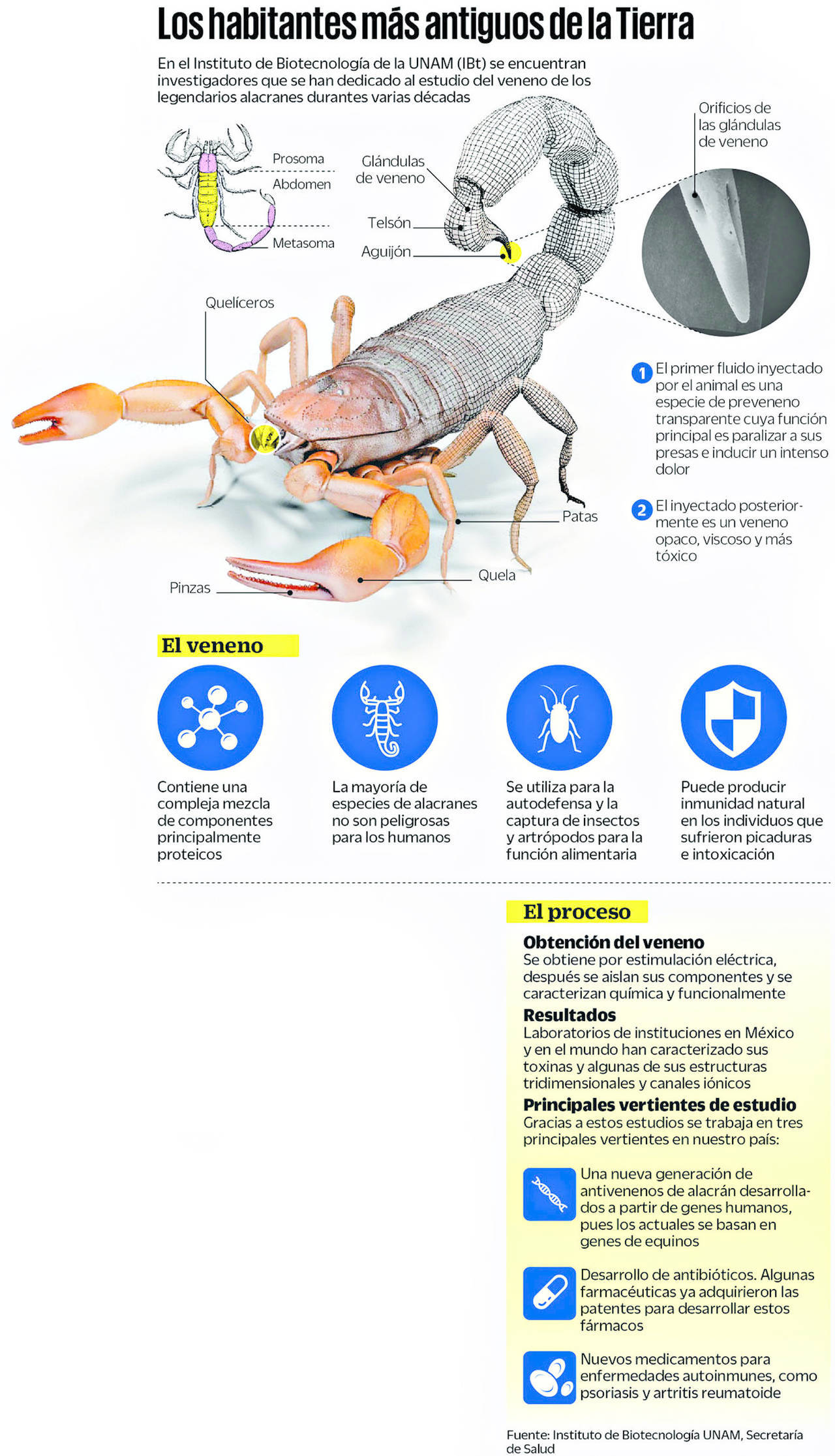 Ciencia le da 'alas' a los alacranes