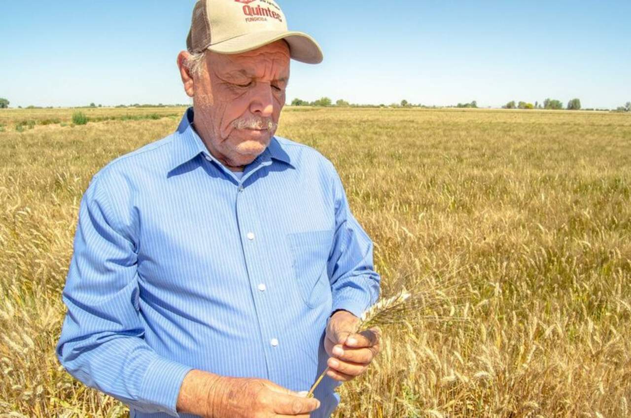 El registro se realiza en los Cader de la Región Lagunera, así como en los distritos de Desarrollo Rural de la Secretaría tanto en La Laguna de Coahuila, como en La Laguna de Durango. (ARCHIVO)