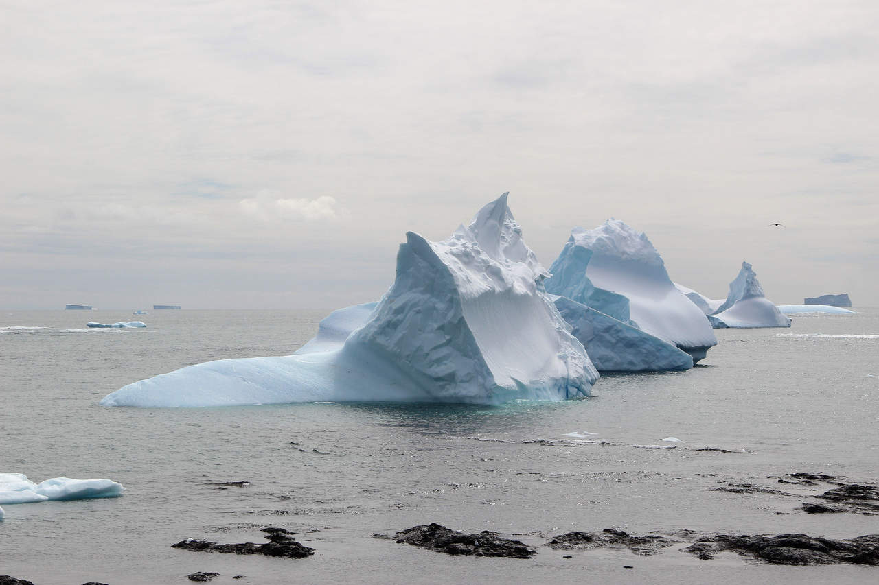 Desde hace décadas, científicos chilenos y estadounidenses pasan largas temporadas en este remoto lugar de la Antártida, ubicado a 62 grados latitud sur, con el objetivo de estudiar las especies e intentar descifrar los efectos del cambio climático. (EFE)