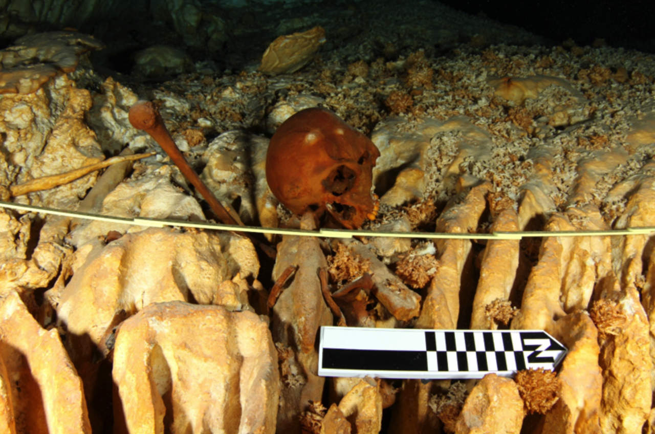 Se hizo célebre en 2014 como el esqueleto humano más antiguo, completo y genéticamente intacto hallado en el continente americano. (ARCHIVO)