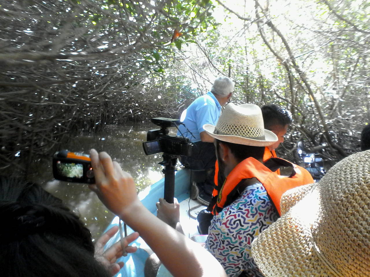 Paseo. Un paseo inolvidable los visitantes podrán tener al visitar en lancha el manglar, al descubrir cocodrilos y aves.