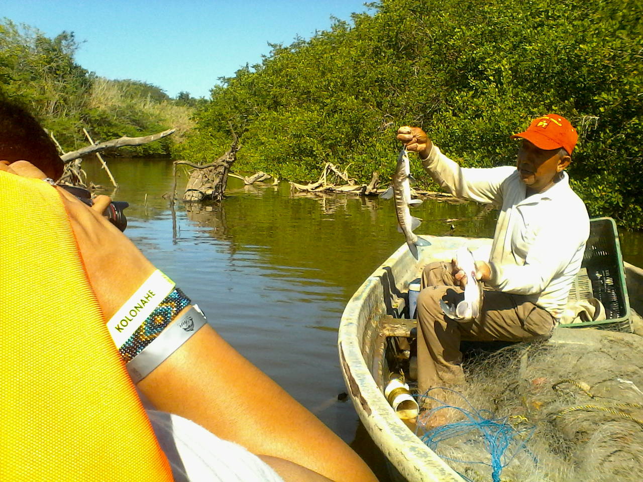 Muy fresco. En el manglar no sólo se puede disfrutar de la naturaleza, sino también pescar como lo hace un lugareño.