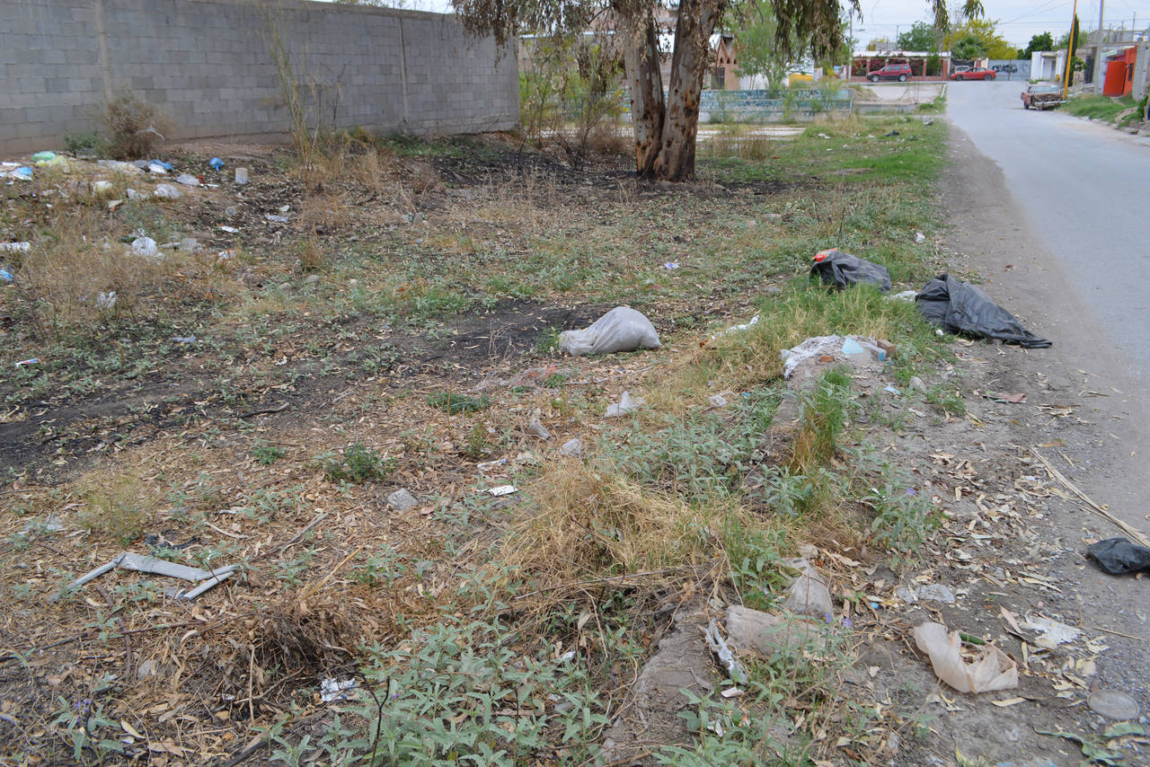 Desorden. En el terreno de la calle Zuazua se dejan desde hace años desechos de toda clase, incluso animales muertos.