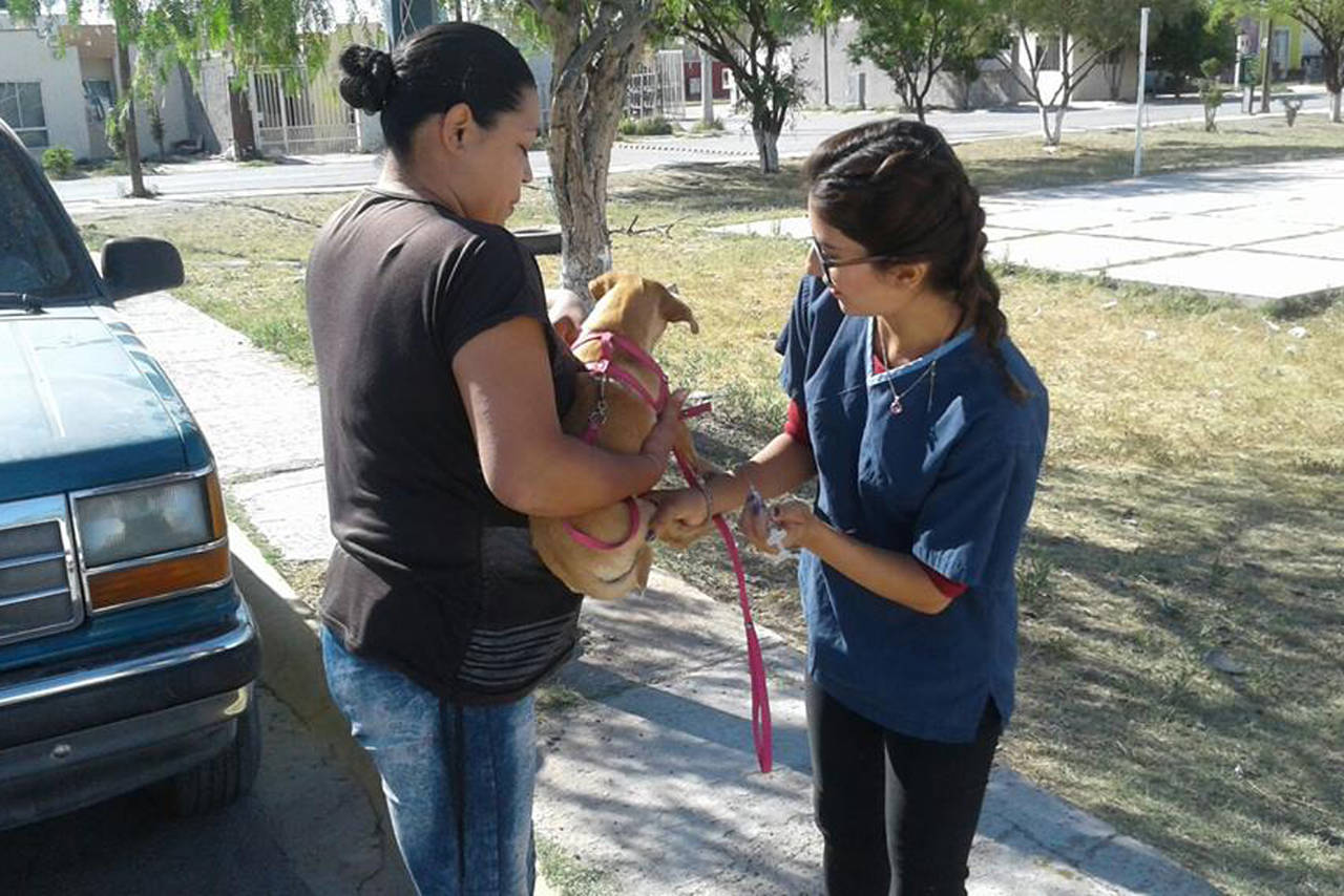 Vacunación. Brigadas recorrerán colonias de la zona urbana de Gómez Palacio para aplicar dosis antirrábicas. (EL SIGLO DE TORREÓN)