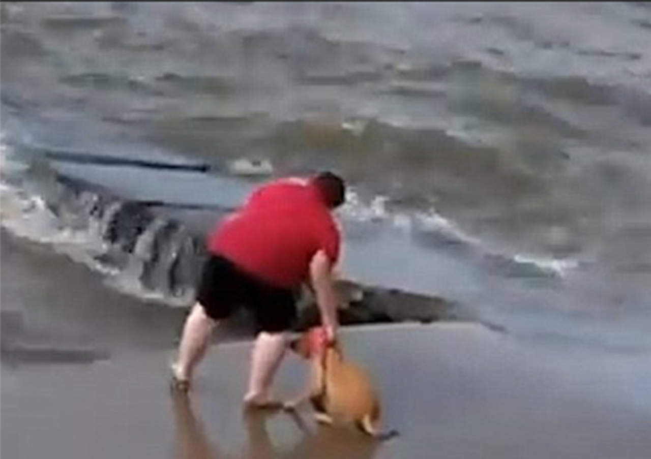 Mujer es sorprendida lanzando a su perro a un lago
