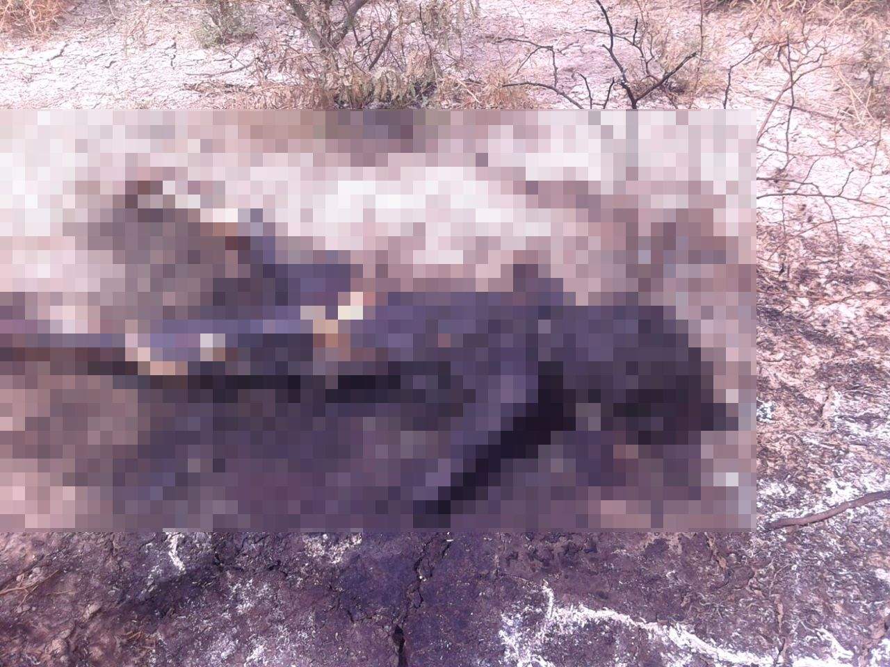 Localizan cuerpo calcinado en Matamoros; presunto menor de edad