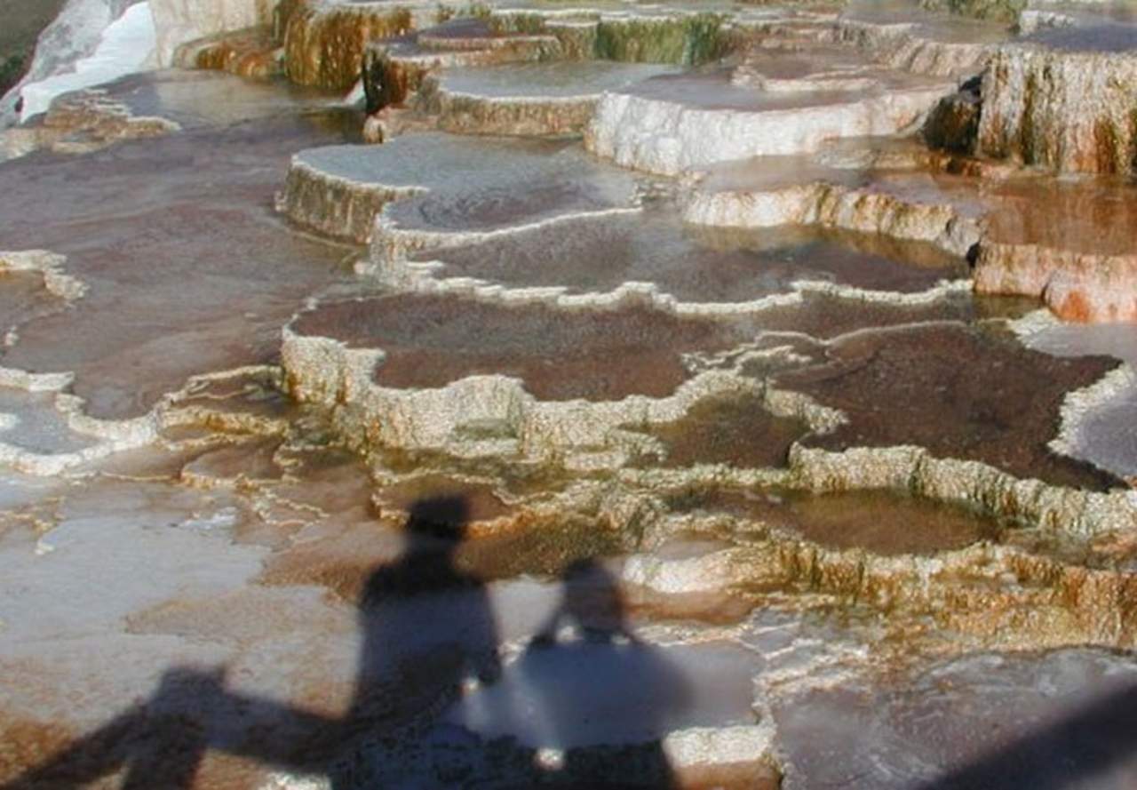 En las fuentes termales Mammoth, en el Parque Nacional de Yellowstone, habitan bacterias termófilas que colorean las terrazas de travertinos. (ONU)