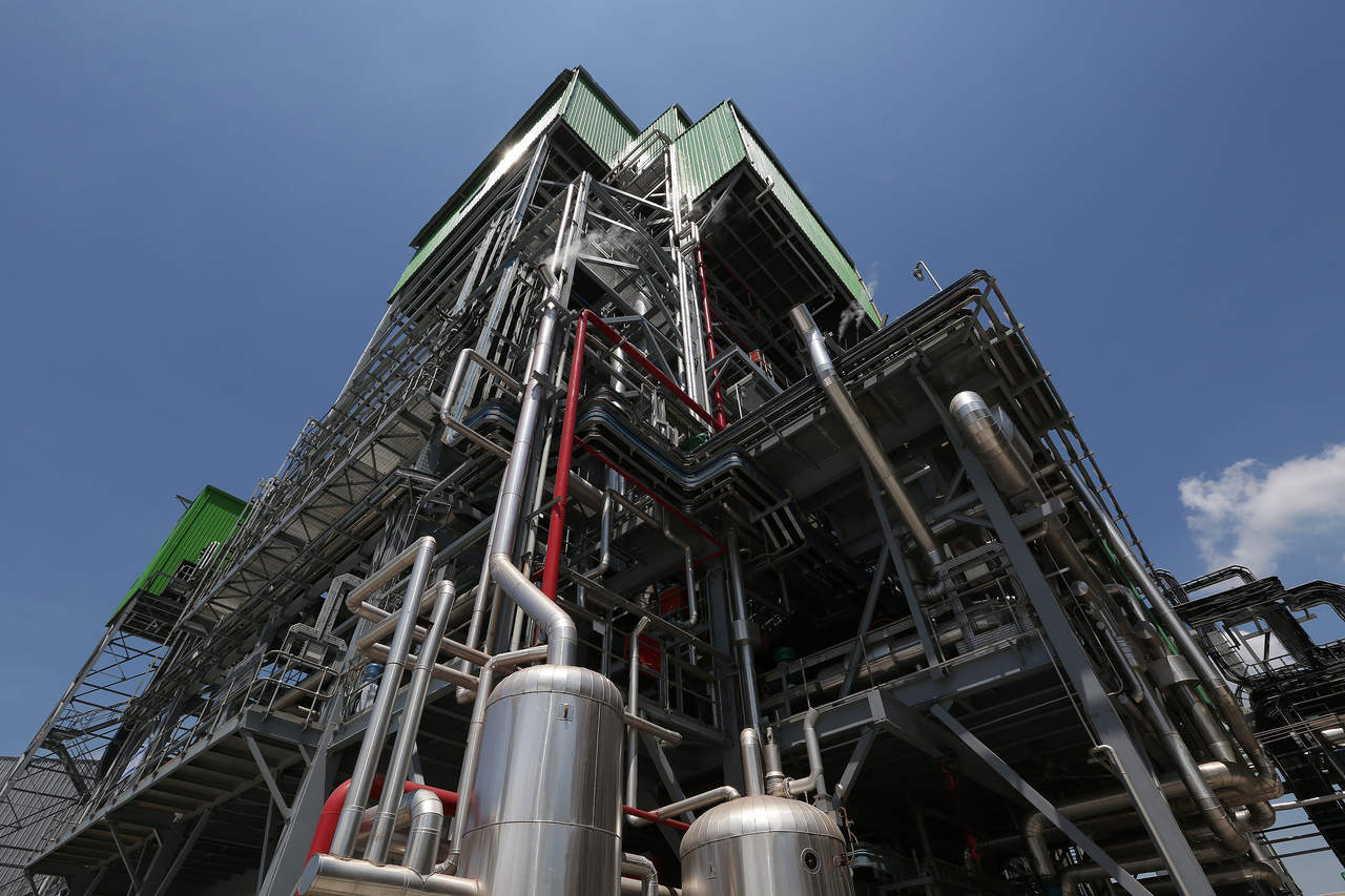 Biomasa, cerca de reemplazar a químicos derivados del petróleo
