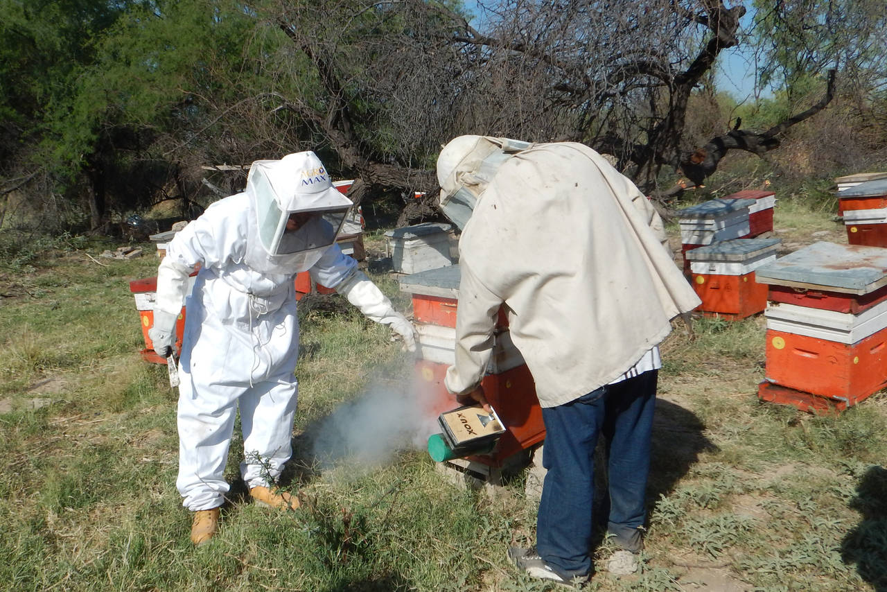 Dotación. Los apicultores buscan la dotación de suplemento alimentario como azúcar o fructosa para cubrir las necesidades.
