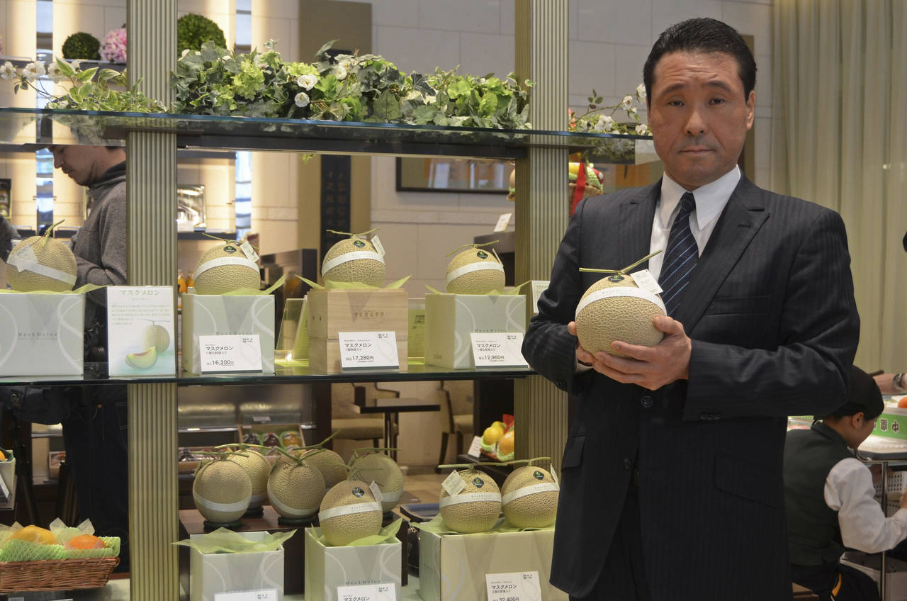 Fruta lagunera. En Japón el consumo de melón se vuelve un lujo, por lo que el objetivo es impulsar la exportación. 