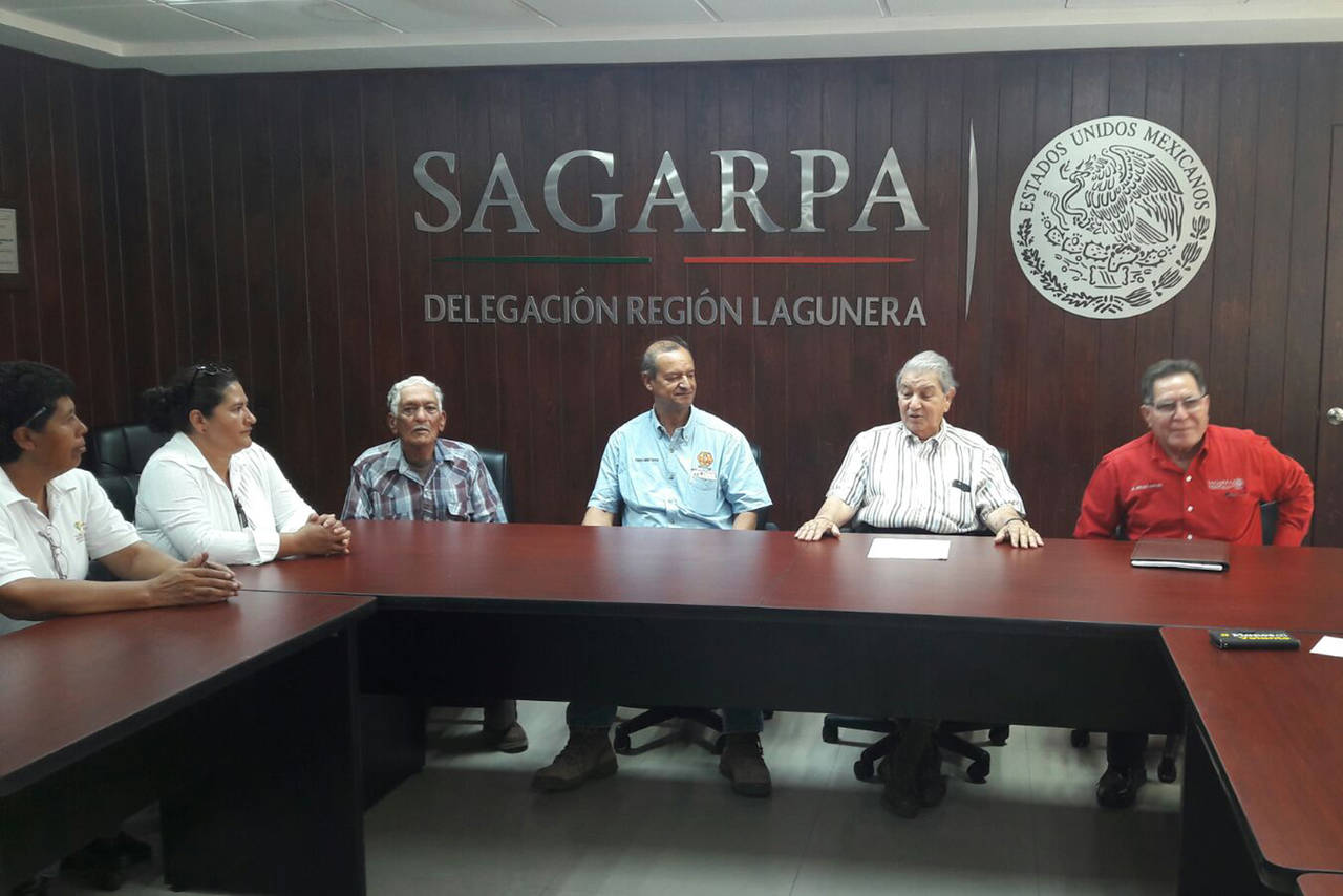 Beneficio. Apicultores que recibieron recurso para repoblar, se reunieron con delegado de Sagarpa para conocer reglas. (EL SIGLO DE TORREÓN)