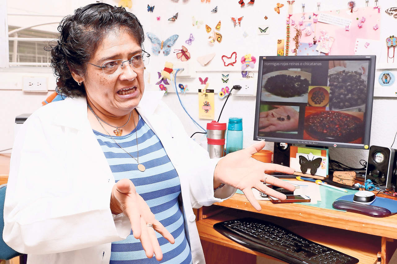 Nutritivos. La investigadora de la UNAM, Gabriela Jiménez Casas, encontró en los insectos la solución para obtener los nutrientes necesarios y controlar la diabetes.