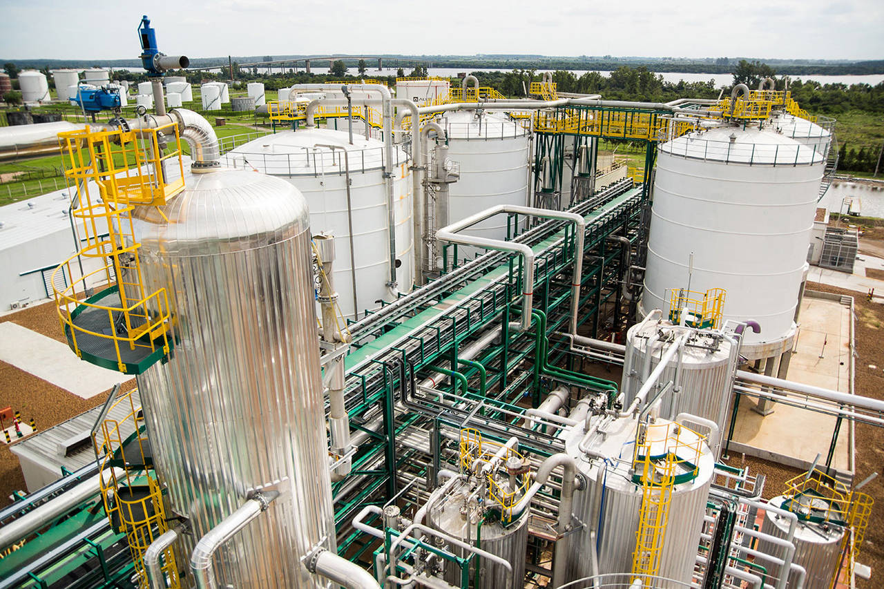 Proyecto verde. La construcción de plantas de etanol se contempla se realice en un plazo de  5 años en México.