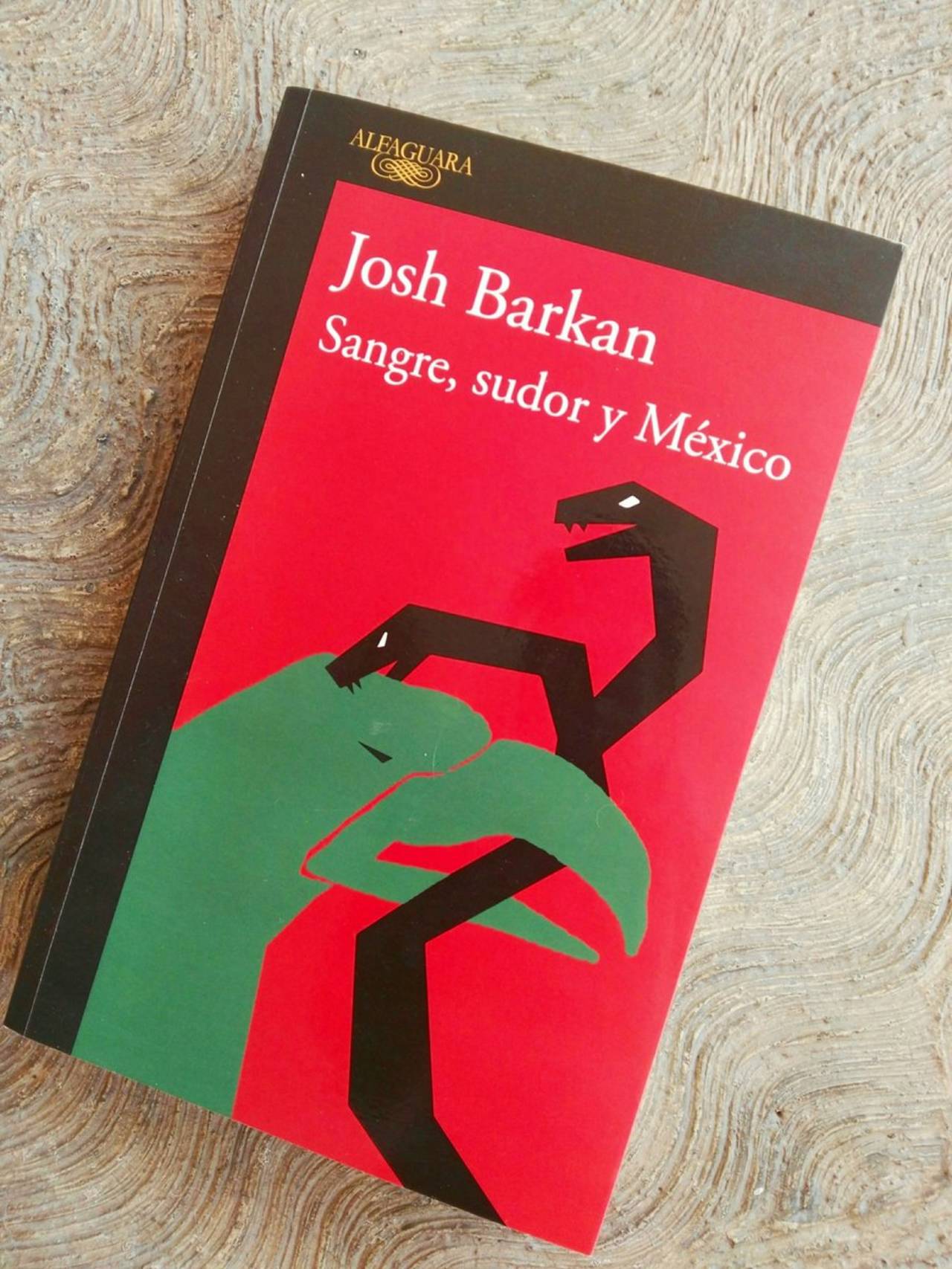 Josh Barkan retrata a México