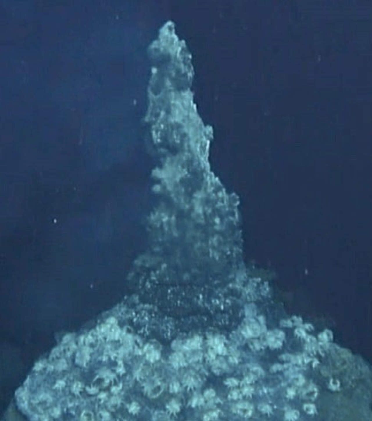 La teoría que afirma que la vida en la Tierra tiene su origen en el mar profundo, cerca de fuentes hidrotermales, ya existía, pero esta investigación afirma que la electricidad generada en torno a ellas jugó un papel fundamental. (EFE)