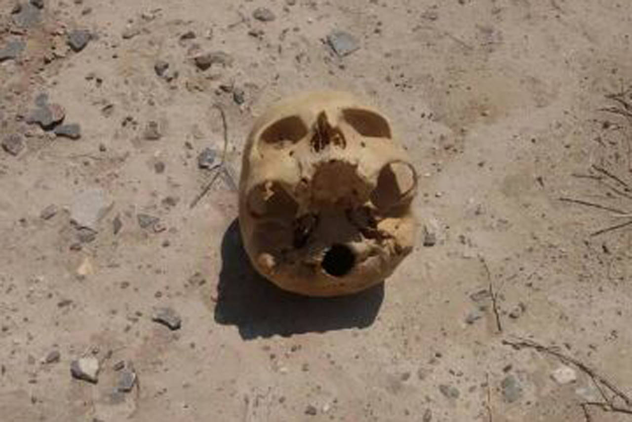 Evidencia. Fotos del cráneo 'perdido' que reportaron a Vida y de la pieza dental con la marca. (EL SIGLO DE TORREÓN)