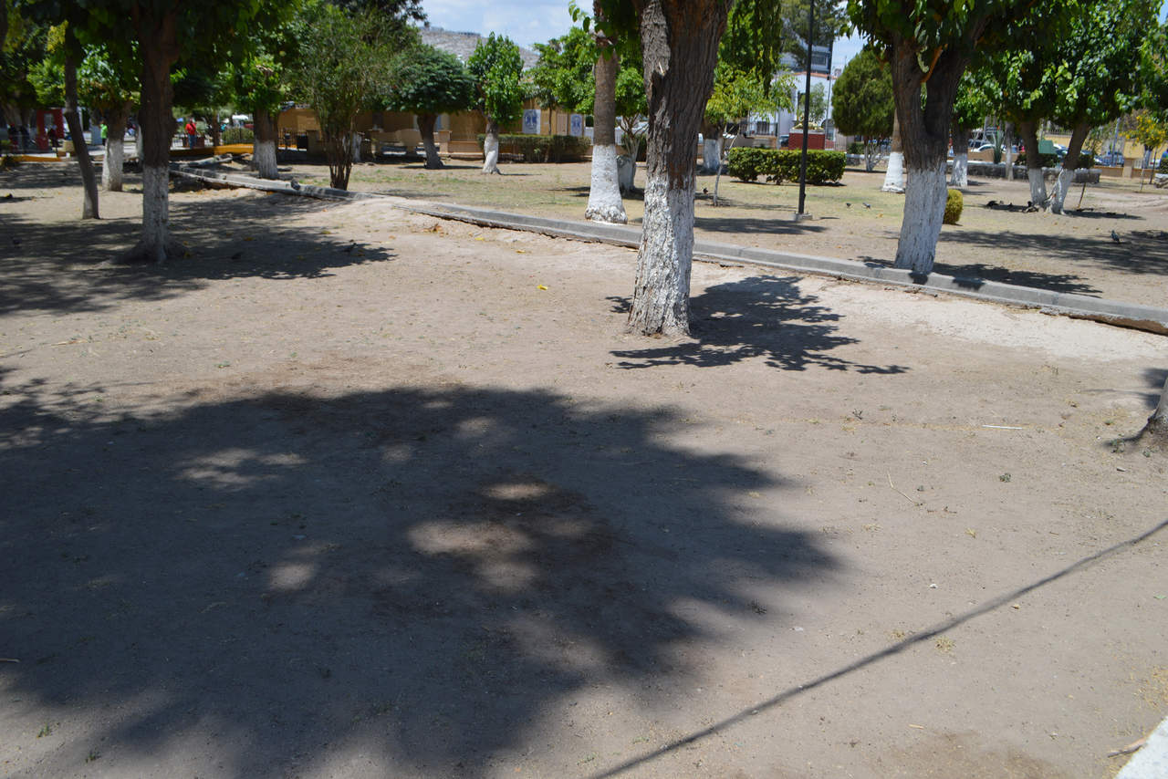 Sin riego 'adecuado'. Señalan la falta de pasto y árboles suficientes en la Alameda de Torreón. (ROBERTO ITURRIAGA)
