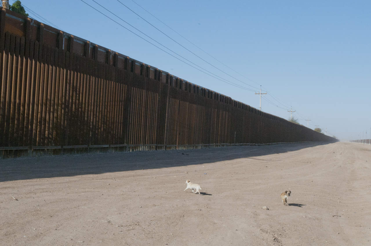 En rueda de prensa, Vitiello explicó que, de momento, el Gobierno de Donald Trump ha determinado que 'no es práctico ni necesario' construir una barrera física en 209 kilómetros de los 3.180 que separan a Estados Unidos de México. (ARCHIVO)