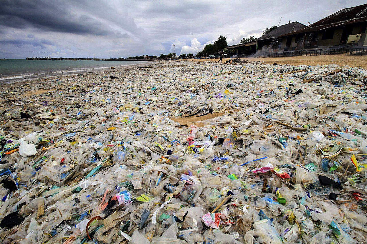 El hongo denominado 'Zalerion maritimum' es capaz de degradar los plásticos que se acumulan en el mar, convertidos en las últimas décadas en una de las grandes amenazas medioambientales. (ARCHIVO)