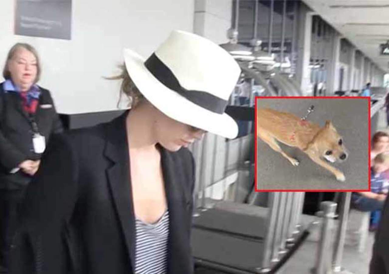 Jennifer Lawrence ofende a persona por acariciar a su perro