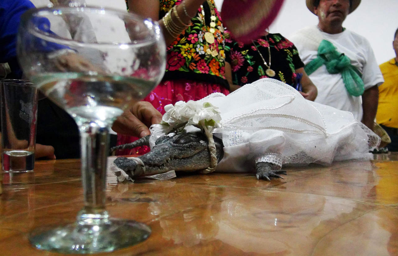 Alcalde oaxaqueño se casa... con un caimán