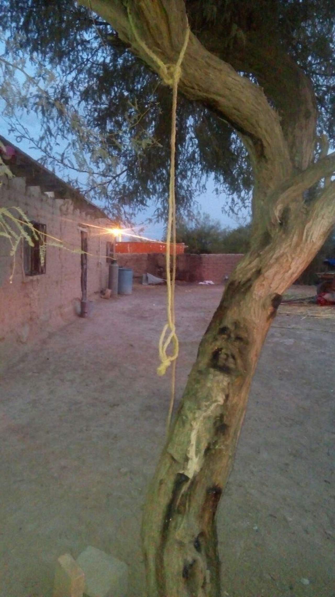 El hombre fue descubierto colgado de un árbol. (EL SIGLO DE TORREÓN)