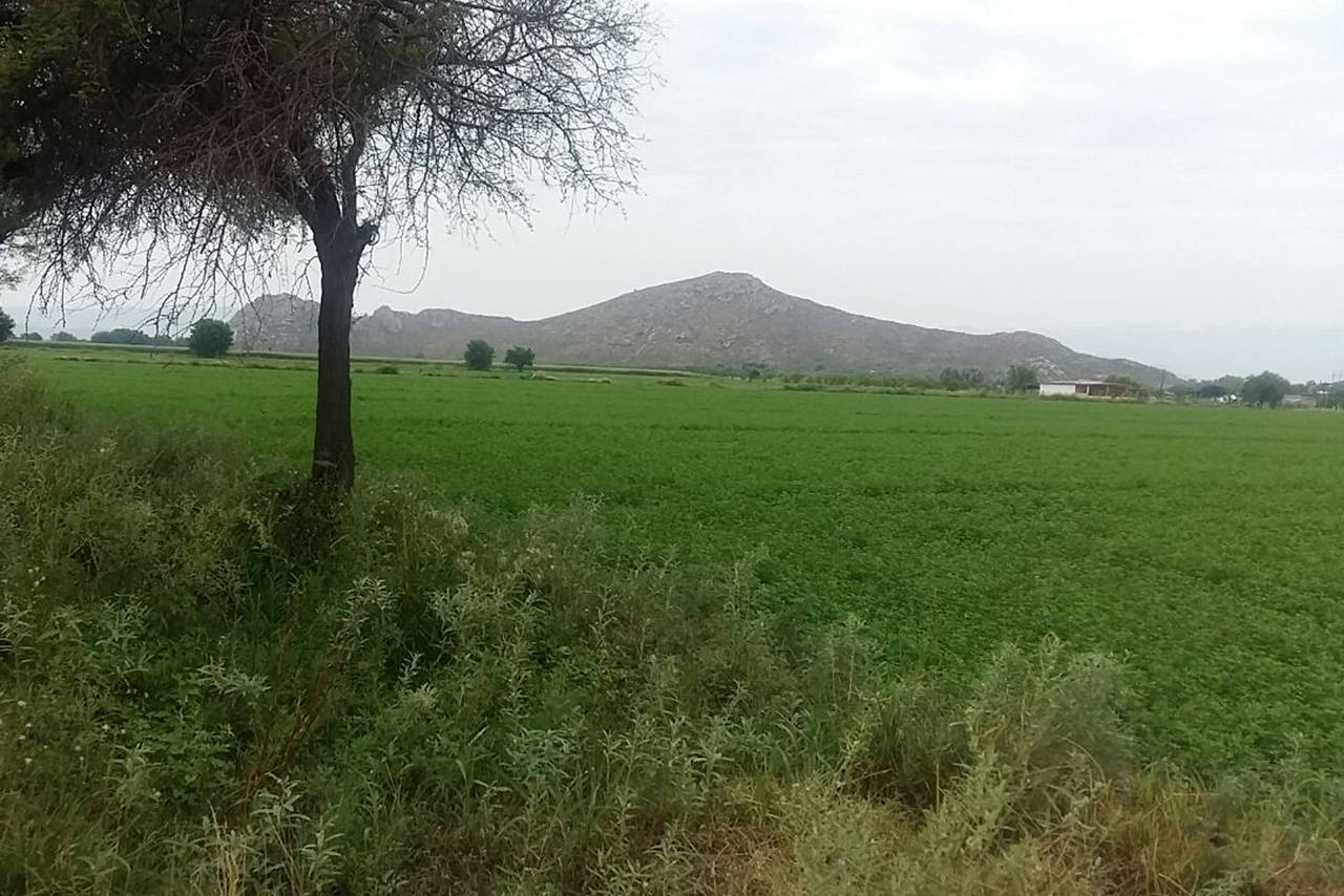 Beneficio. Las lluvias  dan beneficios al campo.