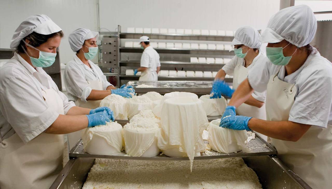 Calidad. La SE y Sagarpa trabajan en tres normas para garantizar la calidad del queso, leche en polvo y yoghurt.