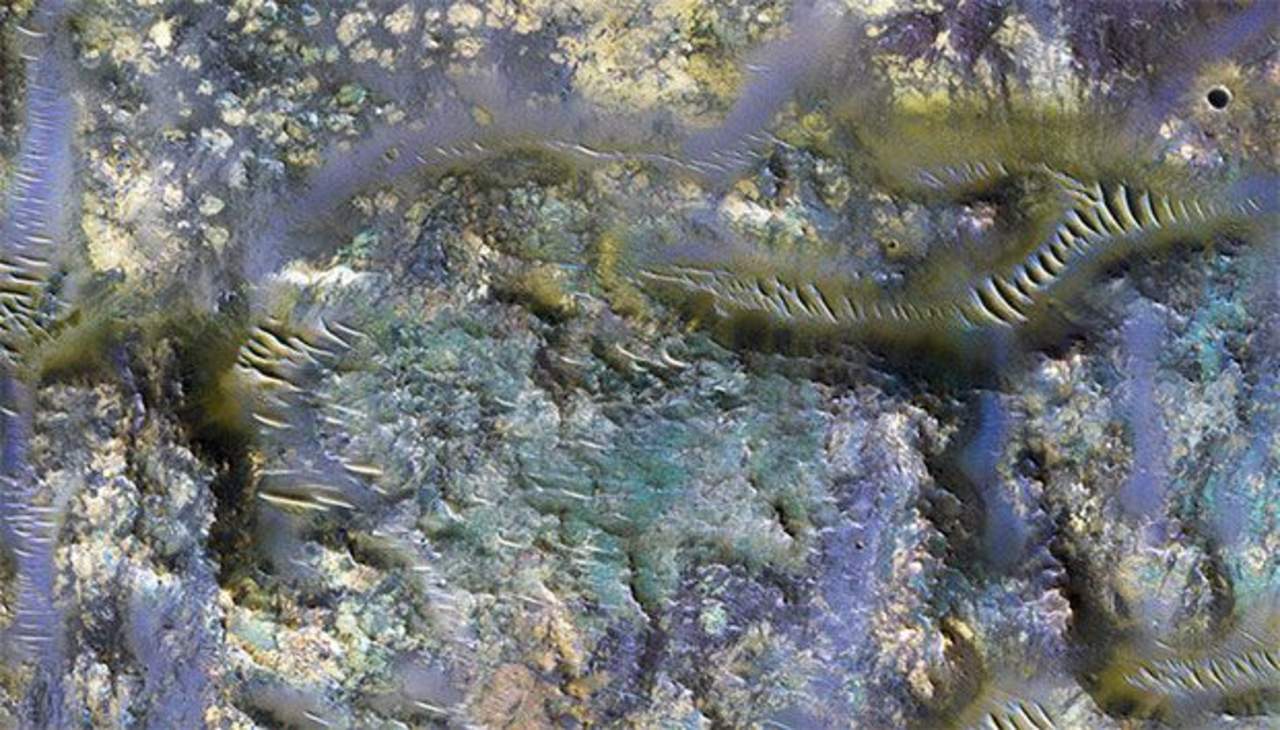 Muestra NASA imágenes de gusanos en Marte