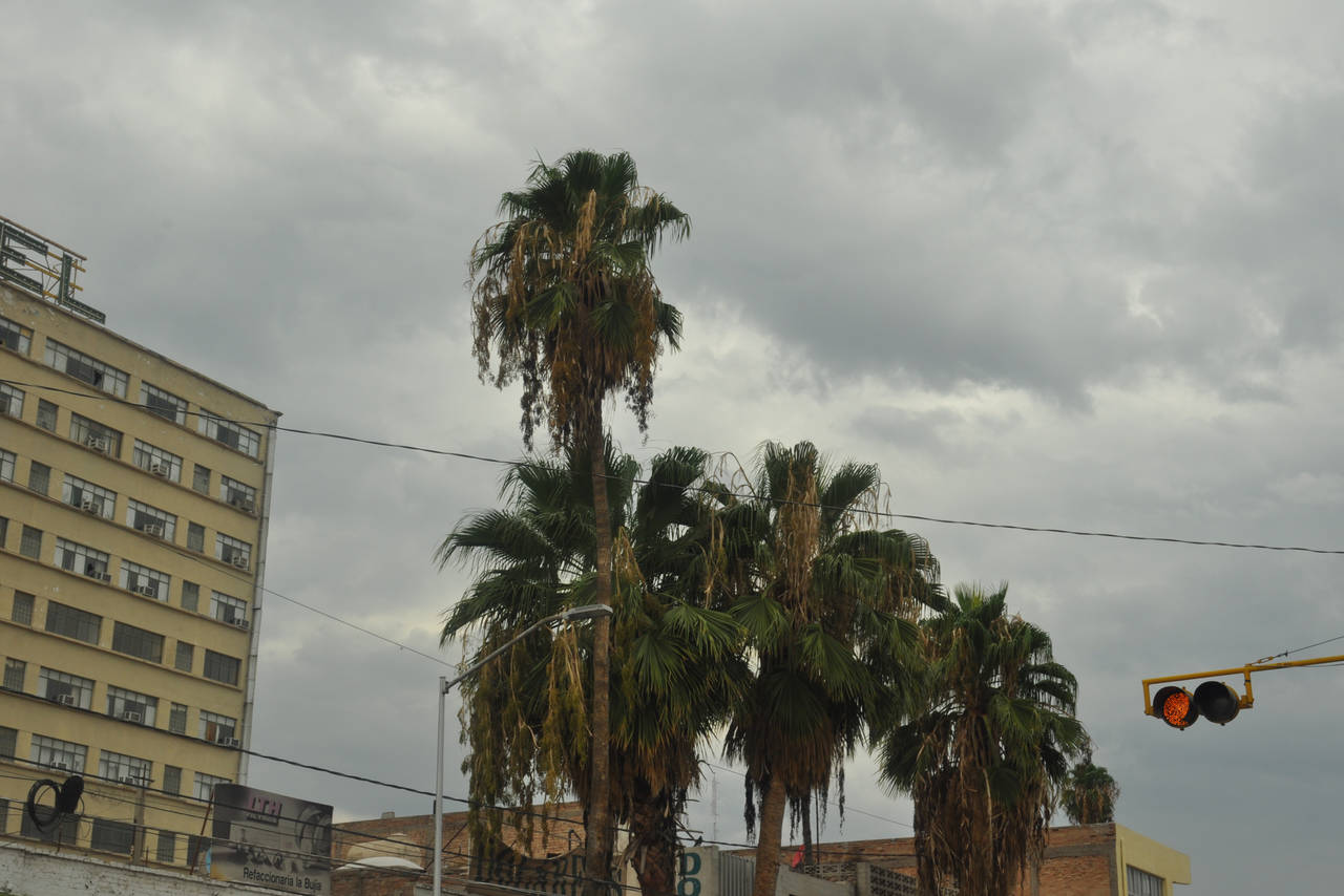 Estado del tiempo. La Conagua espera lluvias ligeras para las próximas 48 horas para la zona urbana de la Comarca Lagunera. (GUADALUPE MIRANDA)