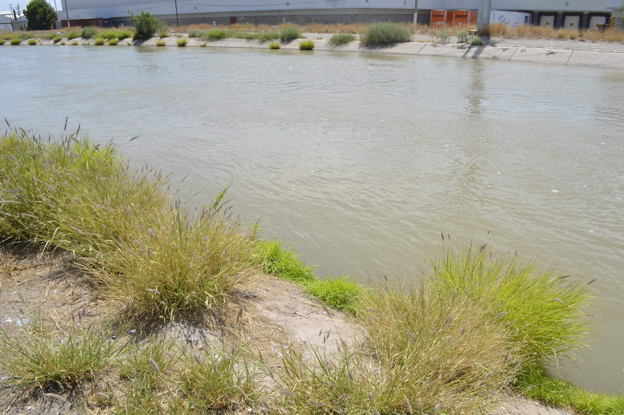 Será hasta el último día de este mes cuando cierren las compuertas de las presas Lázaro Cárdenas y Francisco Zarco. (ARCHIVO)