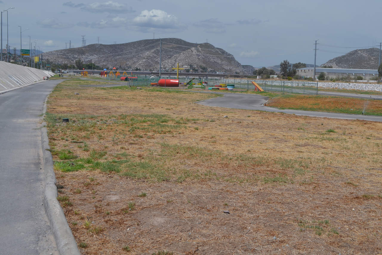 Áreas ¿verdes? En un recorrido que realizó El Siglo de Torreón, se pudo constatar que las áreas verdes del Metroparque se encuentran en muy malas condiciones. (ANGÉLICA SANDOVAL)
