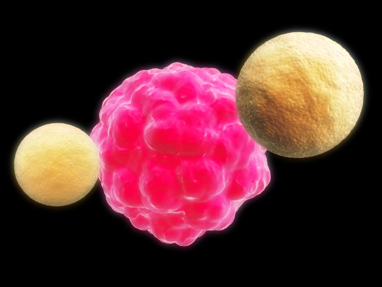 Al descubrir en algunos linfocitos T un receptor que puede ser controlado por un factor de crecimiento de tumores, los investigadores han identificado una población de células capaz de reducir el tamaño de tumores. (ARCHIVO)