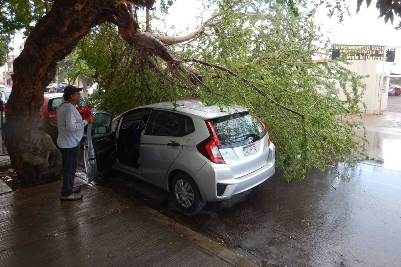 Viento. Las ramas de un árbol se vinieron abajo y cayeron sobre un vehículo estacionado en Matamoros y Acuña. (EL SIGLO DE TORREÓN) 