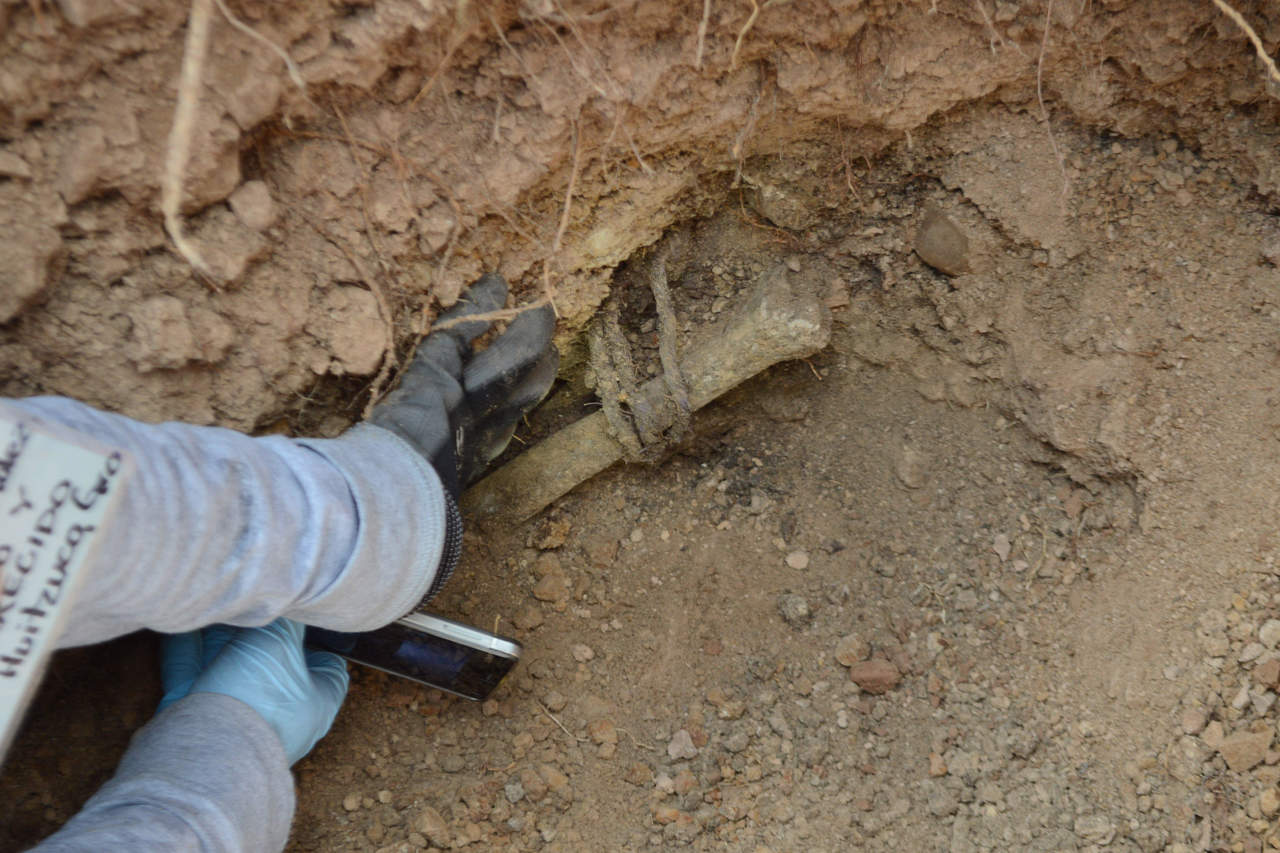 El operativo de búsqueda inició la mañana de este martes y para el mediodía, después de excavar poco más de medio metro de profundidad encontraron las primeras osamentas. (ARCHIVO)