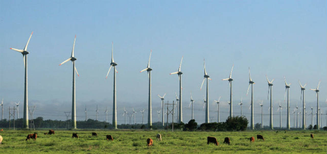 Energía limpia. El parque de energía eólica dará abastecimiento de energías limpias a las 165 tiendas en dos etapas.  (ARCHIVO)