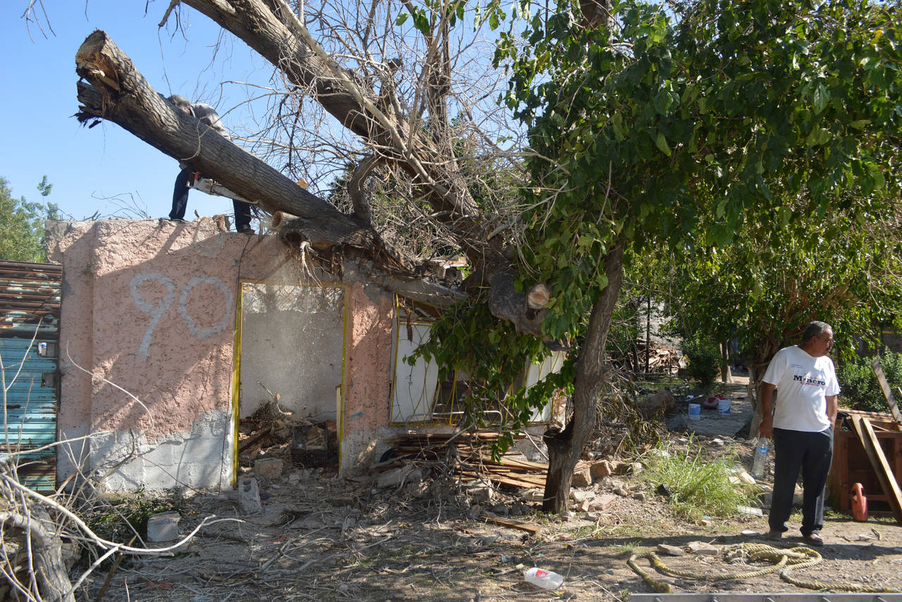 Daños. La casa destruida por el enorme árbol en la colonia Emiliano Zapata es del señor José Juan Solís Martínez. (EL SIGLO DE TORREÓN)  