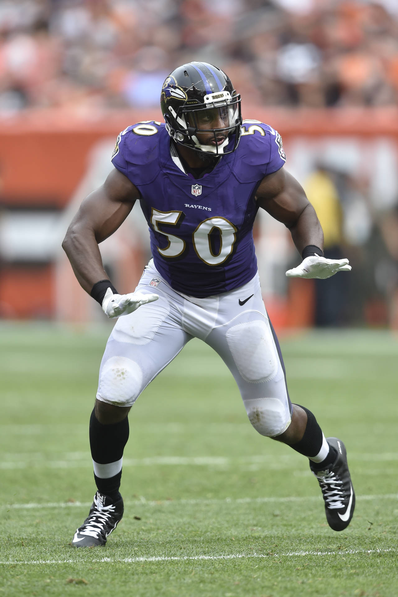 Albert McClellan llegó a los Ravens en el 2011. Albert McClellan se pierde la campaña