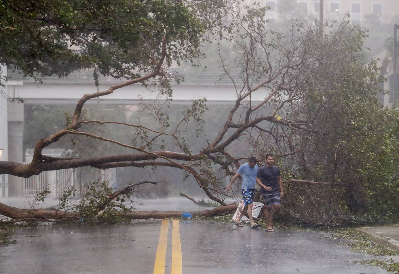 Huellas. En Miami, el huracán 'Irma' derribó cientos de árboles y dejó inundaciones en varias zonas de Florida. (AP y EFE)