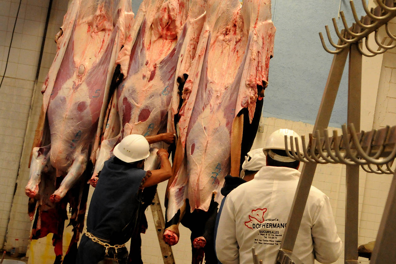 Sin dependencia. Los ganaderos de carne de bovino aseguran que ya desde hace años han diversificado mercados. (ARCHIVO) 