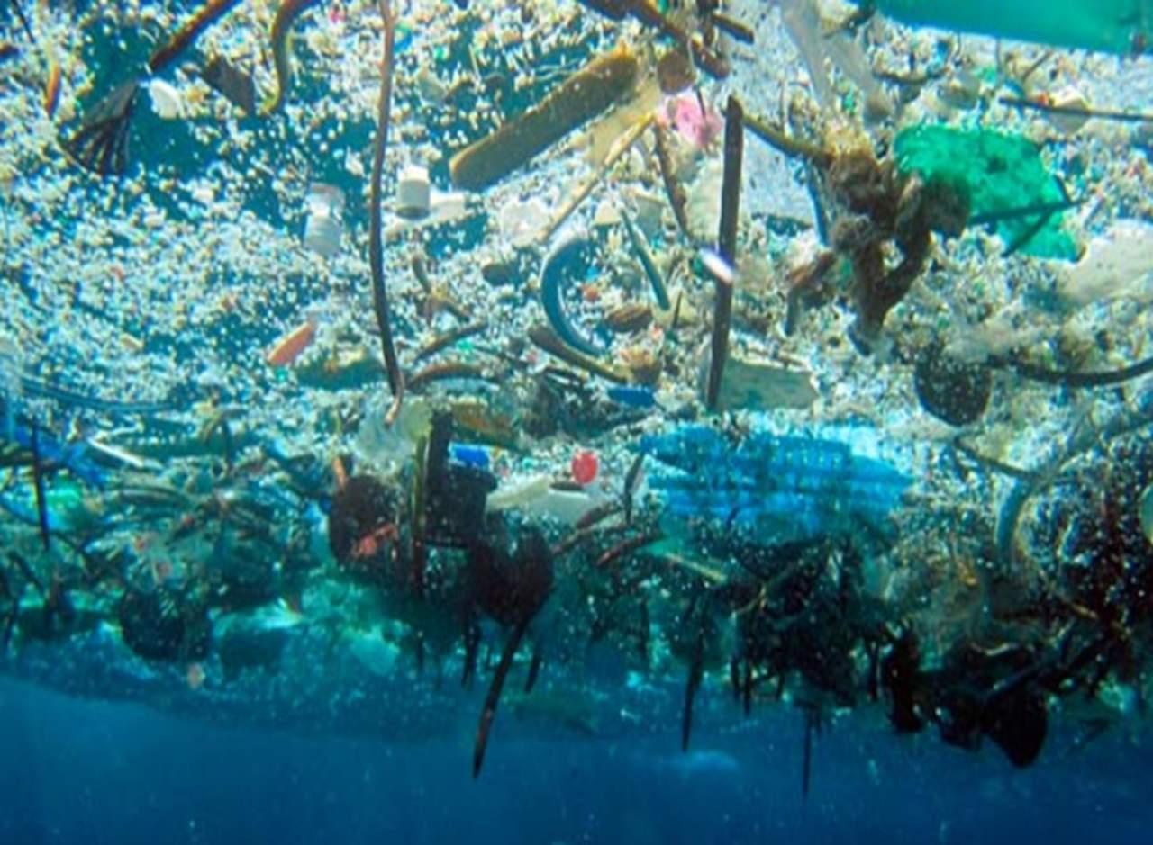 Tanto plástico en las aguas marinas puede ser dañino para el medio ambiente. (INTERNET)