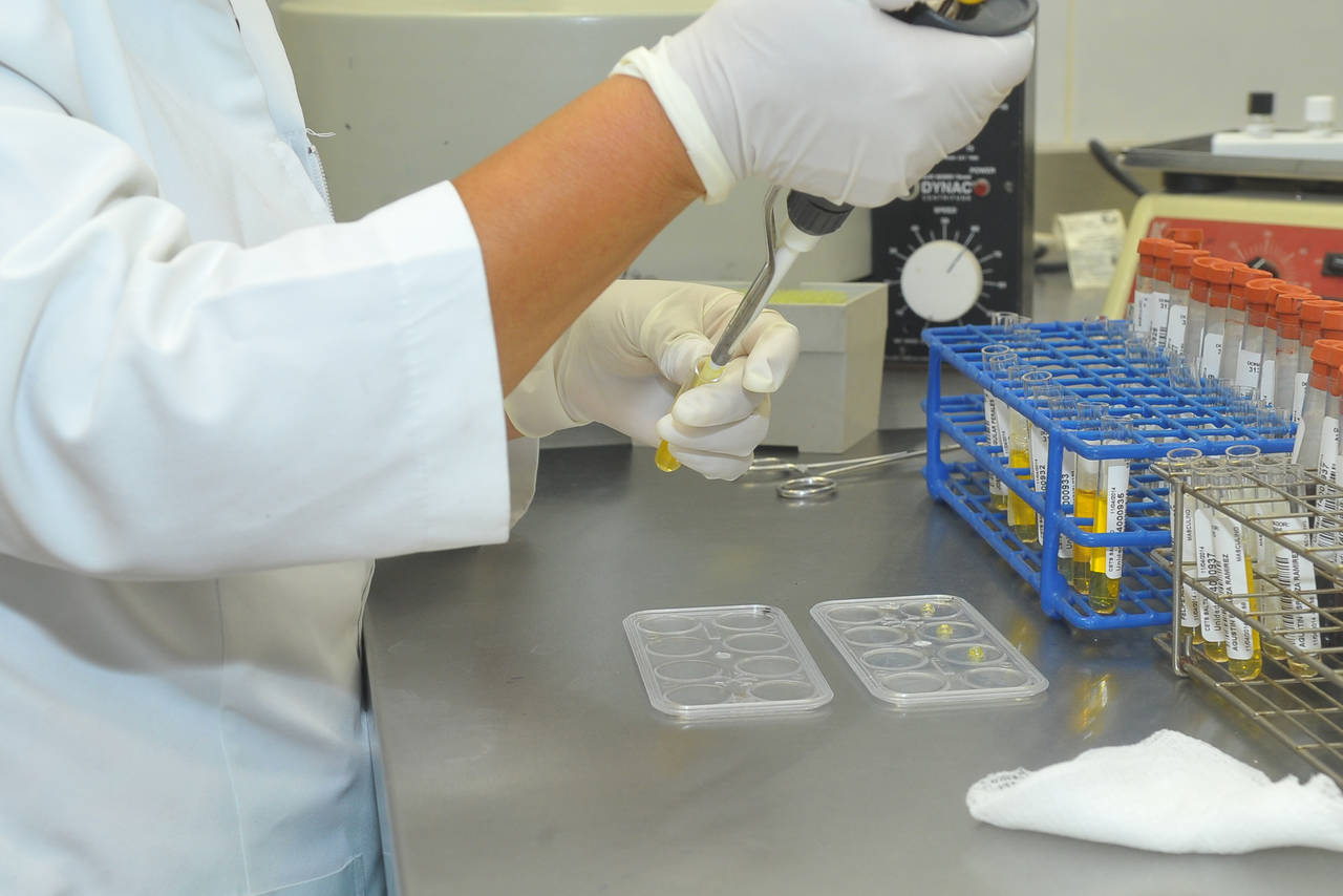 Pruebas. El Laboratorio Estatal de Salud Pública tiene cerca de 80 muestras de casos posibles de dengue de La Laguna. (ARCHIVO)