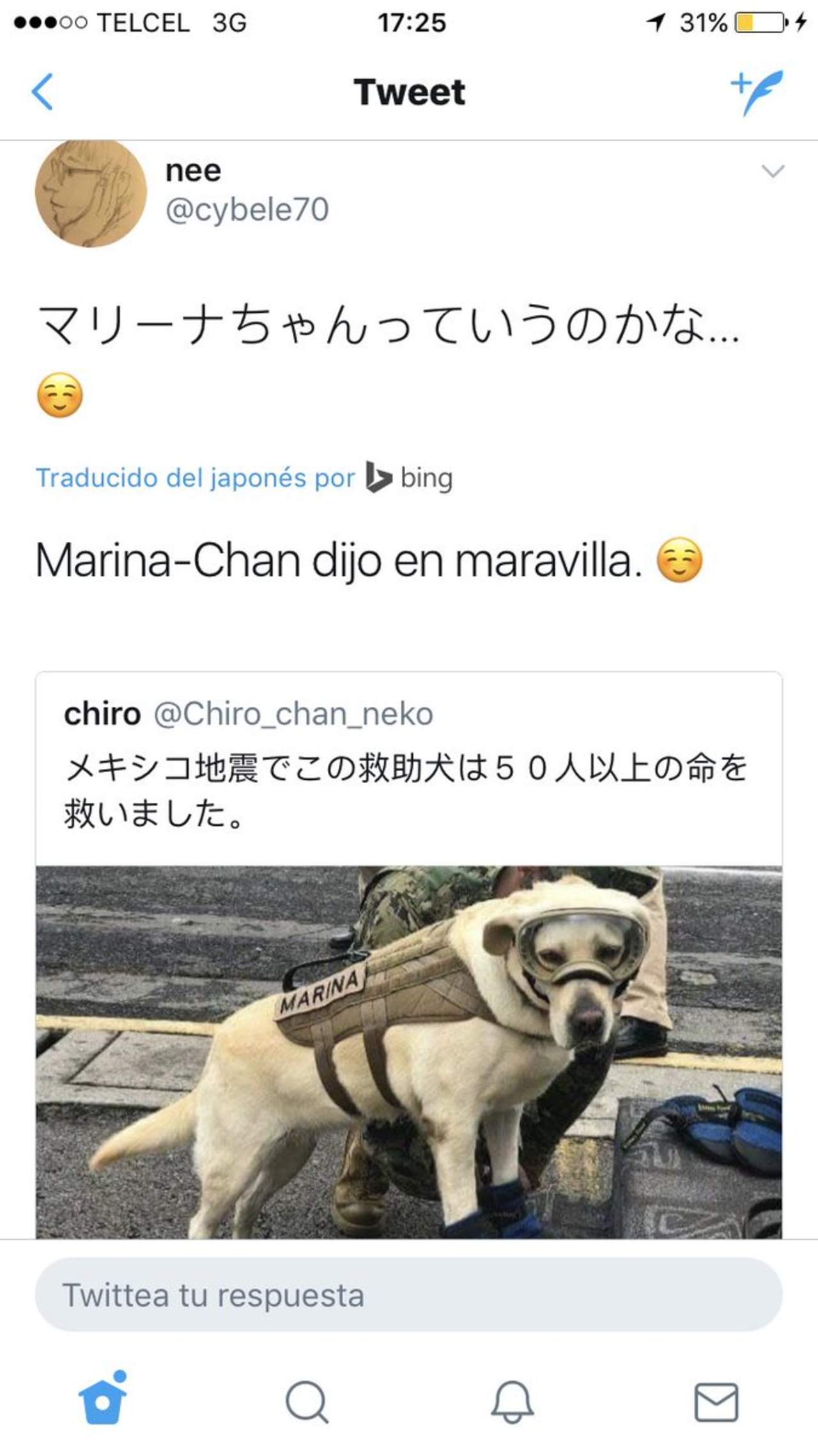 El encanto de Frida ya llegó a Japón, donde creen que se llama Marina. (ESPECIAL) 