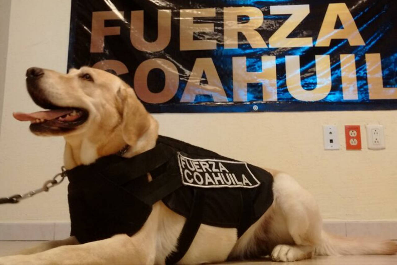 Channel es la 'estrella' de la Fuerza Coahuila 