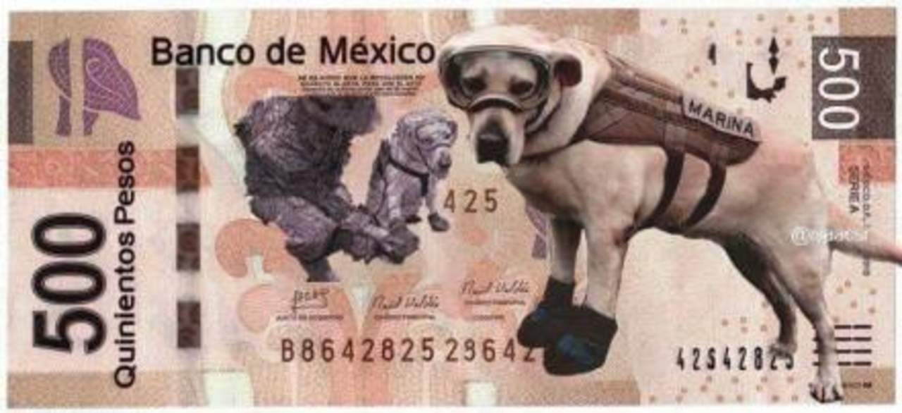 Muchos quieren que la imagen de la rescatista canina aparezca en los billetes. (ESPECIAL) 