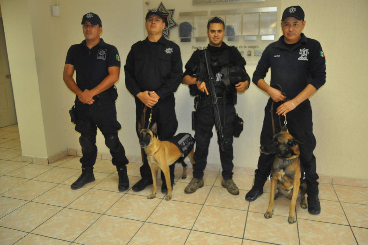  Con el apoyo del Escuadrón Canino de Torreón, se rescató a tres personas con vida y a 18 sin vida en cuatro puntos. (IVAN CORPUS)