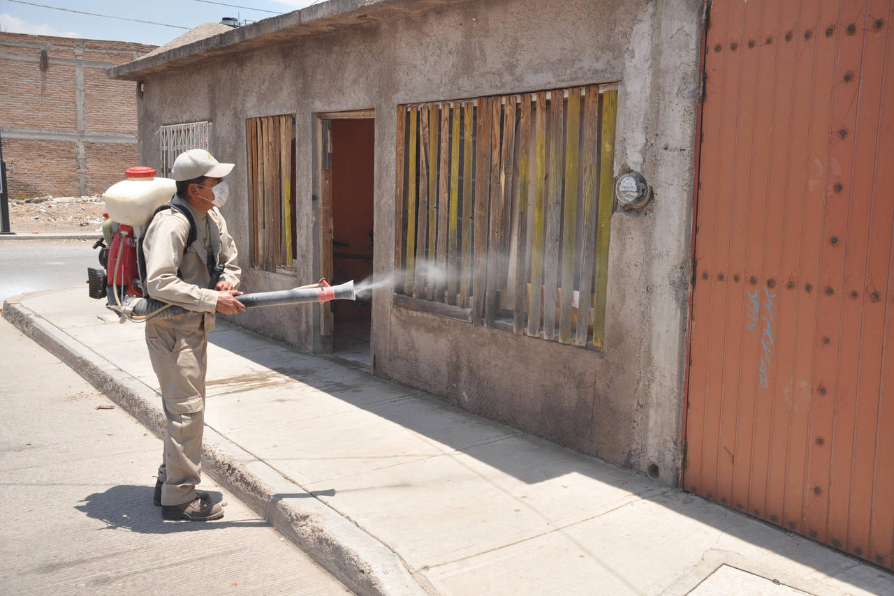 Refuerzo. Dependencias sanitarias ya refuerzan las medidas contra el dengue en La Laguna de Durango. 