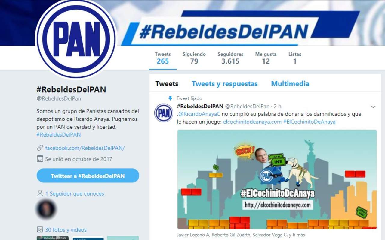 Desde hace cuatro días opera dicho perfil en donde se puede leer que son un grupo de panistas 'cansados del despotismo' de su presidente nacional, Ricardo Anaya; 'pugnamos por un PAN de verdad y libertad'. (ESPECIAL)