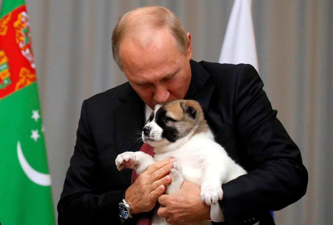 Verny, un perro pastor centroasiático cuyo nombre en ruso quiere decir “fiel”, es un regalo del presidente de Turkmenistán, Gurbanguly Berdymukhamedov. Putin cumplió 65 años el fin de semana pasado. (EFE)

