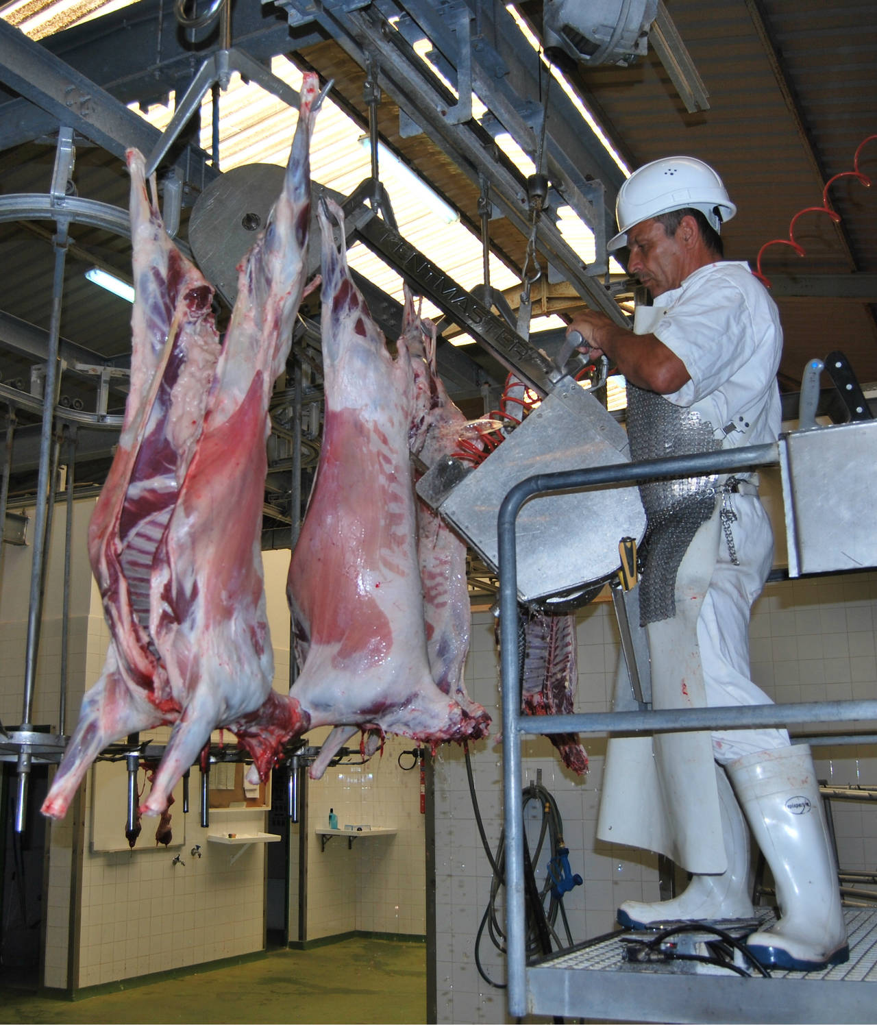 Exportarán carne Lagunera a Emiratos Árabes Unidos